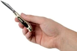 Old Timer Dog Leg Jack 72OTB Saw Cut Bone Slipjoint Pocket Knife 9 Old Timer Dog Leg Jack 72OTB Saw Cut Bone Slipjoint Pocket Knife -Knife Sale Shop OT72OTB 05 schrade old timer