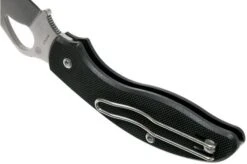 Spyderco Byrd Tern BY23GP Pocket Knife -Knife Sale Shop SPBY23GP 05 spyderco