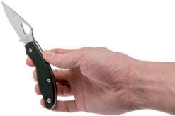 Spyderco Byrd Tern BY23GP Pocket Knife -Knife Sale Shop SPBY23GP 08 spyderco