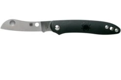 Spyderco Roadie C189BK Pocket Knife